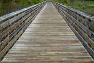 Boardwalk;Brown;Florida;Gulf-State-Park;Minimalism;Swamp;United-States;green;lan