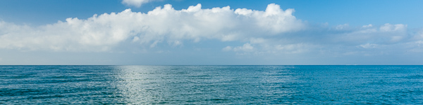 Abstract;Abstraction;Abstractions;Abstracts;Aqua;Beach;Beaches;Blue;Coast;Coastline;Florida;Healing;Health care;Healthcare;Ocean;Panoramic;Patterns;Peaceful;Sand;Sandy;Sanibel;Sanibel Captiva Island;Seascape;Seashell;Shore;Shoreline;Stock categories;Textures;Waves;calm;greenery;restful;sea shell;sea shells;seashells;serene;soothing;tranquil