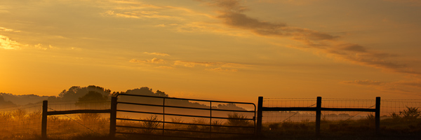 Agricultural;Blue;Brown;Cloud;Cloud Formation;Clouds;Cloudy;Farm;Fence;Gold;Healing;Health care;Healthcare;Mist;Oneness;Panoramic;Pastoral;Pastureland;Peaceful;Sky;Sun-up;Sunlight;Sunrise;Yellow;calm;fence row;fog;foggy;haze;misty;pasture;restful;serene;soothing;tranquil;zen