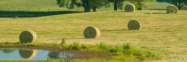 Agricultural;Bale;Blue;Farm;Farming;Fence;Field;Fields;Green;Hay;Healing;Health care;Healthcare;Landscape;Leaves;Mirror;Oneness;Panoramic;Pastoral;Peaceful;Pond;Reflection;Reflections;Sunlight;Sunlit;Sunshine;Tan;Tree;Trees;calm;pasture;pool;restful;serene;soothing;tranquil;tree limbs;zen