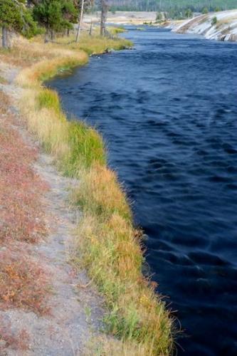 Trunk;Orange;Tan;Green;River;Yellow;river;Gold;Creek;Tree;bark;Stream;Madison River;Wyoming;flowing;Brown;Tree Trunk;River Bed;Brook;Water;water;Branch;Blue;waterway;Riverbed;Grass;Trees;flow;Herbaceous;Branches;Plant;Gray;Rivers;Yellowstone National Park