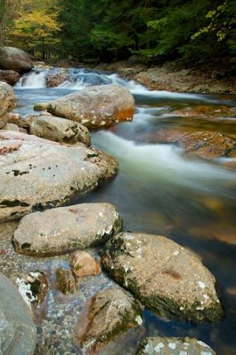 Rocks;Cascading;Yellow;Vermont;Gold;Green;Falls;Streaming;Cascade;Rock;Streamlet;Woodland;Fall;Wooded area;Rivulet;Woods;Waterfall;Brook;Autumn;Forest;river;Rapids;Creek;Tan;Boulder;Tree;Stones;Stream;Boulders;Horizontal;Orange;Stone;Brown;Rocky