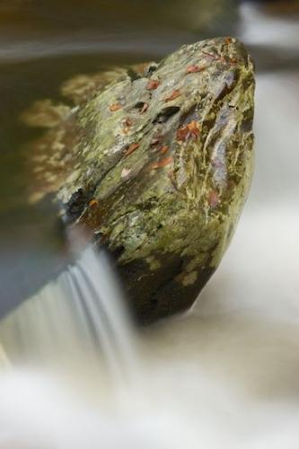 Spilling;Waterfall;Wet;Waterfalls;Flow;Falls;Rock;Rock Face;Vermont;Water;Falling;Boulder;Cool;Stones;Stream;Boulders;Stone;Chute