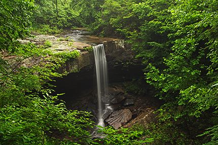 Waterfall;Tennessee;State Parks;Stream;Cliff;Rock Face;Sheer;Steep;Cascade;Cascading;Spray;Cataract;Falls;Chute;Falling;Spilling;Creek;Brook;Rivulet;Tributary;Gush;Streamlet;Torrent;White Water;Rapids;Bubbling;River;Forest;Trees;Leaves;Leaf;Plants;Woods;Bark;Outdoors;Nature;Natural;Woodland