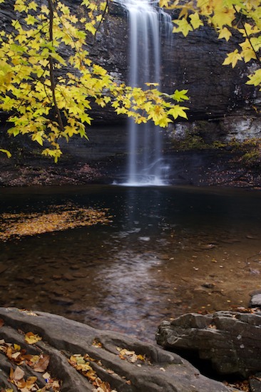 Autumn;Brown;Chute;Cloudland Canyon;Cool;Fall;Falling;Falls;Flow;Georgia;Spilling;Stream;Trenton;Water;Waterfall;Waterfalls;Wet;Yellow