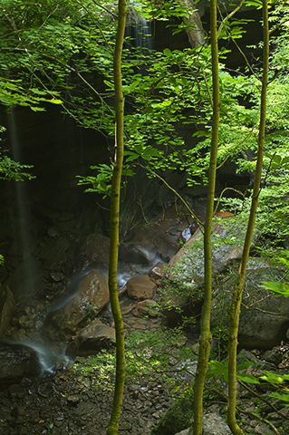 Waterfall;Cumberland Plateau