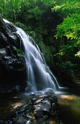 Cliff;Rock Face;Sheer;Steep;Waterfall;Stream;Water;Flowing;Pouring;Cool;Wet;Flow;Cascade;Cascading;Spray;Cataract;Falls;Chute;Falling;Spilling;Forest;Trees;Leaves;Leaf;Plants;Woods;Bark;Outdoors;Nature;Natural;Woodland;Botanical;Vegetation;Foliage;Veins;Compound;Leaflet