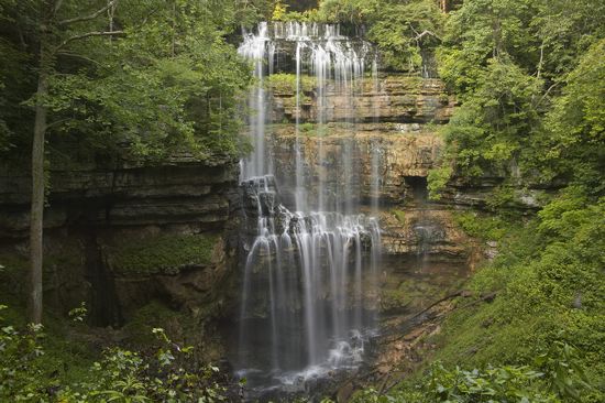 Water;Forest;Waterfall;Rock Formations;Rocks;River;Flowing;Pouring;Power;Leaf;Leaves;Nature