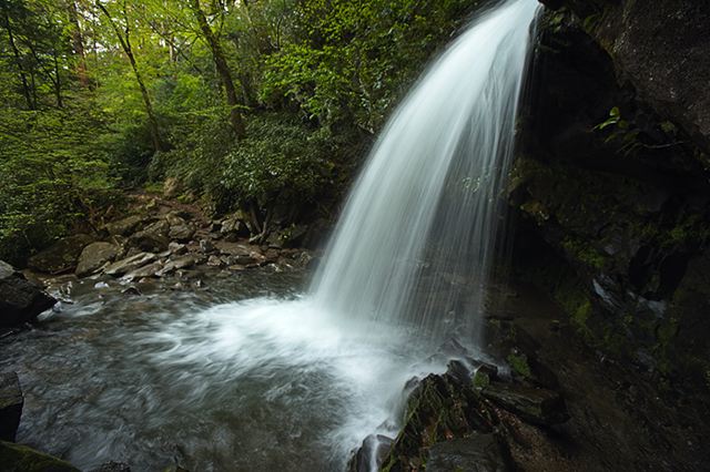 Waterfall;Stream;Water;Flowing;Pouring;Cool;Wet;Flow;Cascade;Cascading;Spray;Ledge;Mountain;Cliff;Precipice;Peak;Mountain Top;Rock Formations;Rocks;Boulder;Nature;Vertical;High;Power;Powerful;Scenic View;Scenics;Summit;Forest;Trees;Leaves;Leaf;Plants;Woods;Bark;Outdoors;Natural;Woodland