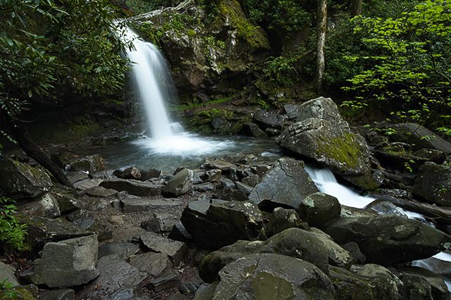 Waterfall;Stream;Water;Flowing;Pouring;Cool;Wet;Flow;Cascade;Cascading;Spray;Forest;Trees;Leaves;Leaf;Plants;Woods;Bark;Outdoors;Nature;Natural;Woodland