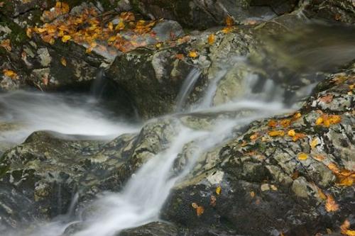 Cascading;Stream;Water;Landscape;Cascade;Stones;Orange;Gray;Foliage;Streamlet;Rocky;Creek;Striation;Boulder;Leaves;Fall;Great Smoky Mountains National Park;Cool;Streaming;Waterfall;Falls;Rock Formations;Vein;Yellow;Chute;Stone;Geology;Spilling;Flow;Tennessee;Leaf;Waterfalls;Autumn;Falling;Boulders;Rivulet;Brook;Rocks;Wet;Brown;Rock;Geological;Leafy;Pouring