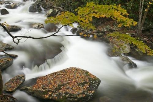 Creek;Brook;Boulders;Cascade;Cascading;White;Yellow;Waterfall;Water;Waterfalls;Wet;Vein;Tennessee;Streaming;Stone;Stream;Streamlet;Stones;Boulder;Striation;Spilling;Rocky;Rocks;Rock Formations;Chute;Rivulet;Pouring;Rock;Orange;Autumn;Leaves;Leafy;Leaf;Brown;Landscape;Falling;Green;Great Smoky Mountains National Park;Gray;Gold;Geology;Foliage;Geological;Flow;Falls;Fall;Cool