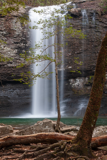 Aqua;Bluff;Boulder;Boulders;Branches;Brown;Calm;Cascade;Chute;Cloudland Canyon;Falls;Forest;Georgia;Habitat;Healing;Health care;Healthcare;Minimalism;Mountain;Nature;Pastoral;Pouring;Rock;Rock formations;Stone;Streaming;Tan;Tree;Trenton;United States;Waterfalls;Waterscape;White;bark;cliff;gray;green;landscape;leaves;limbs;log;logs;oneness;peaceful;restful;roots;serene;soothing;tranquil;tree limbs;tree trunk;trees;trunk;waterfall;zen
