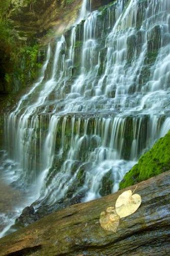 Fallen;Green;Rock Formations;Spilling;Leaves;Falling;Wet;Tullahoma;Machine Falls;Water;cliff;Flow;Rock Face;Short Springs State Natural Area;Falls;Fallen Leaves;Leaf;Brown;Stream;Tennessee;Log;Waterfalls;Yellow;Wabi Sabi;Chute;Moss;Waterfall;Cool