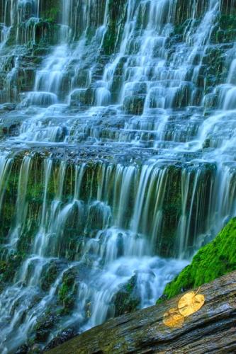 Calm;Cascade;Cascading;Chute;Cool;Couchville Cedar Glade State Natural Area;Falling;Falls;Flow;Healing;Health care;Healthcare;Machine Falls;Pastoral;Petal;Pouring;Short Springs State Natural Area;Spilling;Stream;Streaming;Tennessee;Tullahoma;United States;Water;Waterfalls;green;oneness;peaceful;rapids;restful;serene;soothing;tranquil;waterfall;wet;zen