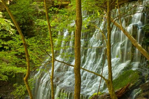 Calm;Cascade;Cascading;Chute;Cool;Couchville Cedar Glade State Natural Area;Falling;Falls;Flow;Healing;Health care;Healthcare;Machine Falls;Pastoral;Petal;Pouring;Short Springs State Natural Area;Spilling;Stream;Streaming;Tennessee;Tullahoma;United States;Water;Waterfalls;green;oneness;peaceful;rapids;restful;serene;soothing;tranquil;waterfall;wet;zen
