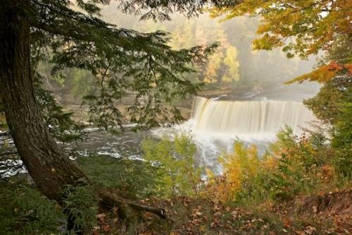 Woods;Falls;Cascading;Waterfall;Great Lakes;Tree;Woodland;Trees;Fall;Michigan;Cascade;Streaming;Water;Tahquamenon Falls;Autumn;Forest;Pouring;Upper Peninsular;Waterfalls