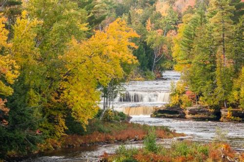 Autumn;Branches;Brown;Calm;Cascade;Chute;Fall;Falls;Gold;Great Lakes;Healing;Health care;Healthcare;Michigan;Pastoral;Pouring;Streaming;Tan;Tree;United States;Upper Peninsular;Warm Colors;Warm Palette;Warm Tones;Waterfalls;Yellow;color;green;oneness;orange;peaceful;restful;serene;soothing;tranquil;tree limbs;trees;trunk;waterfall;zen