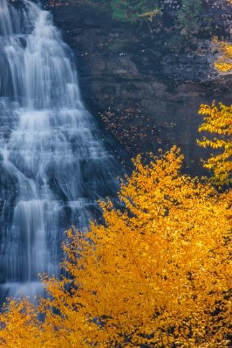 Autumn;Blue;Bluff;Branches;Brown;Calm;Cascade;Cascading;Chute;Creek;Fall;Falls;Flow;Gold;Great Lakes;Healing;Health care;Healthcare;Michigan;Mountain;Mountain Side;Mountain Top;Mountainous;Mountains;Nature;Pouring;River;Rock Face;Stream;Stream Bank;Streaming;Summit;Tan;Tree;United States;Upper Peninsular;Water;Waterfalls;Waterscape;Yellow;cliff;flowing;green;hillside;landscape;leaves;limbs;oneness;orange;peaceful;rapids;restful;river bank;serene;soothing;tranquil;tree limbs;trees;waterfall;zen