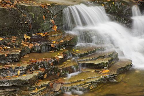 Stream;Ricketts Glenn State Park;Water;Sandstone Falls;Ledge;Waterfall;Cascade;Pouring;Chute;Mohican Falls;Streaming;Pennsylvania;Fall;Waterfalls;Autumn;West Virginia;Bluff;Escarpment;Cliff;Cascading;Rock Face;Precipice;Falls