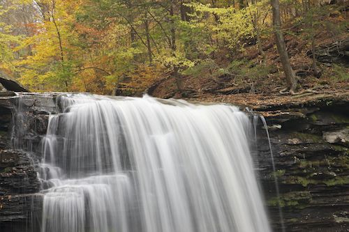 Ledge;Precipice;Harrison Wrights Falls;Fall;Streaming;Cascade;Boulders;Water;Chute;Rocky;Pennsylvania;Falls;Waterfalls;Brown;Autumn;Green;Pouring;Escarpment;Sandstone Falls;Stream;Stones;Rock;Cliff;Cascading;Ricketts Glenn State Park;Stone;Rocks;Waterfall;Boulder;Forest;Rock Face;Bluff;West Virginia;Gold;waterfall