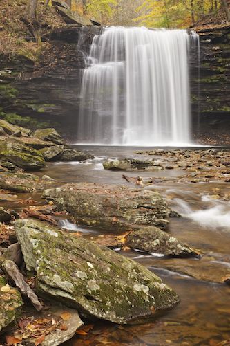 Green;Rocky;Rock;Sandstone Falls;Boulder;Rock Face;Stream;Chute;Pennsylvania;Rocks;Bluff;Pouring;Cascading;Precipice;Cascade;Autumn;waterfall;West Virginia;Fall;Falls;Forest;Stones;Waterfall;Waterfalls;Ricketts Glenn State Park;Brown;Ledge;Cliff;Stone;Escarpment;Gold;Streaming;Water;Boulders;Harrison Wrights Falls