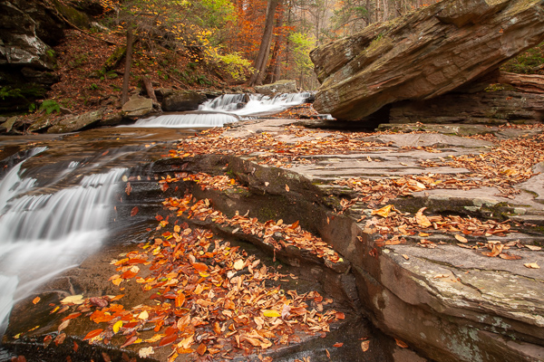Autumn;Botanical;Boulder;Boulders;Branches;Brook;Brown;Calm;Cascade;Cascading;Chute;Cool;Creek;Fall;Fallen;Fallen Leaves;Falling;Falls;Flow;Forest;Forested;Geological;Geology;Gold;Healing;Leaf;Nature;Pastoral;Pennsylvania;Pouring;Ricketts Glenn State Park;River;Riverbed;Rivers;Rock;Rock formations;Rocks;Rocky;Spilling;Stone;Stones;Stream;Streaming;Tan;Timber;Timberland;Tree;United States;Wabi Sabi;Water;Waterfalls;Waterscape;Wood;Woodland;Woods;Yellow;foliage;green;landscape;leaves;oneness;orange;peaceful;plants;restful;serene;soothing;striation;tranquil;tree limbs;trees;trunk;waterfall;zen