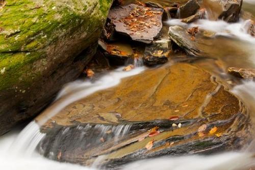 Rock Face;Cliff;Waterfalls;Moss;Pouring;G. Reynolds Falls;Fall;Rocky;Waterfall;Rocks;Ricketts Glenn State Park;Leaf;Autumn;White;Green;Boulder;Stream;Stones;waterfall;Water;Boulders;Precipice;Orange;Rock;Ledge;Cascading;Streaming;Cascade;Falls;Chute;Bluff;Escarpment;Stone;Pennsylvania;Yellow;Leaves;Brown;Tan