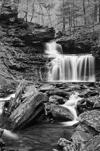 Fall;Ricketts Glenn State Park;Gold;Pennsylvania;Bluff;R. B. Ricketts Falls;Black and White;Stone;Sandstone Falls;Boulders;Chute;Precipice;Waterfalls;Forest;Ledge;Rocky;Brown;Water;Streaming;Falls;Rock Face;Cliff;Pouring;Rock;Green;Waterfall;Rocks;Stones;Autumn;West Virginia;Escarpment;Boulder;Stream;Cascade;Cascading