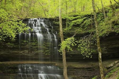 Escarpment;Precipice;Woodland;Spring;Streaming;Waterfalls;Rock Face;Timber;Bluff;Cascading;Springtime;Crag;Pouring;Trees;Falls;Stream;Water;Woodlands;Tennessee;Wood;Timberland;Landscape;Cascade;Ledge;Forest;Tree;Chute;Stillhouse Hollow Falls