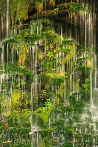 Abstract;Abstraction;Cascade;Cascading;Chute;Cool;Falling;Falls;Flow;Green;Line;Moss;Pattern;Pouring;Rivulet;Rock;Rock Formations;Rocks;Short Springs State Natural Area;Spilling;Stone;Stones;Stream;Streaming;Streamlet;Tennessee;Texture;Water;Waterfall;Waterfalls;Wet