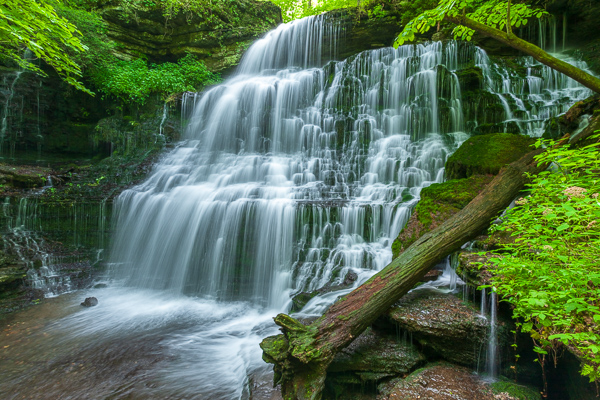 Waterfall;trunk;Brown;Boulders;Gray;Short Springs State Natural Area;Rock;Streaming;Falls;Cascading;Spring;Forest;Machine Falls;Waterfalls;Pouring;Tan;Water;Springtime;Rocks;Log;Stream;tree trunk;Green;Rock Face;Boulder;Rock Formations
