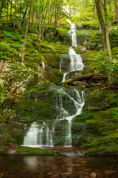 Brown;Buttermilk Falls State Park;Calm;Cascade;Chute;Falls;Ferns;Healing;Health care;Healthcare;Moss;Nature;New Jersey;Pastoral;Pouring;River;Stream;Streaming;Water;Waterfalls;fern;flowing;foliage;green;landscape;oneness;peaceful;plants;rapids;restful;serene;soothing;tranquil;waterfall;zen