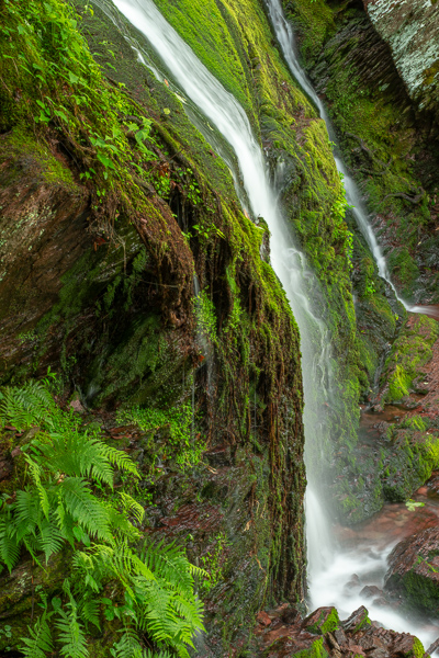 Abstract;Abstraction;Abstractions;Abstracts;Brown;Buttermilk Falls State Park;Calm;Cascade;Cascading;Chute;Falls;Ferns;Healing;Health care;Healthcare;Moss;Nature;New Jersey;Pastoral;Patterns;Pouring;River;Rock;Rock Face;Rock formations;Rocks;Stock categories;Stream;Streaming;Tan;Textures;Tree;Warm Colors;Warm Palette;Warm Tones;Water;Waterfalls;cliff;color;fern;flowing;foliage;green;greenery;landscape;mossy;oneness;peaceful;plants;rapids;restful;serene;soothing;tranquil;trees;vegetation;waterfall;zen