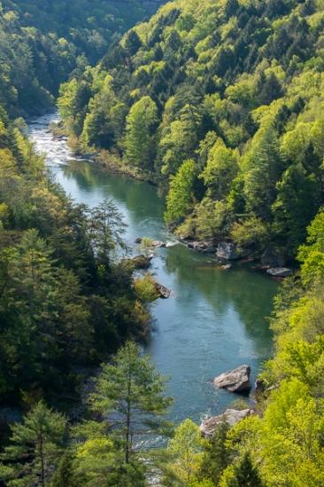 Blue;Boulder;Boulders;Branches;Calm;Creek;Flow;Forest;Forested;Healing;Health care;Healthcare;Minimalism;Obed Wild and Scenic Riverway;Pastoral;River;Rock;Rock formations;Rocks;Stone;Stones;Stream;Stream Bank;Tan;Timber;Timberland;Tree;Water;Wood;Woodland;Woods;flowing;green;leaves;obed;oneness;peaceful;plants;rapids;restful;river bank;serene;soothing;tranquil;tree limbs;trees;winding