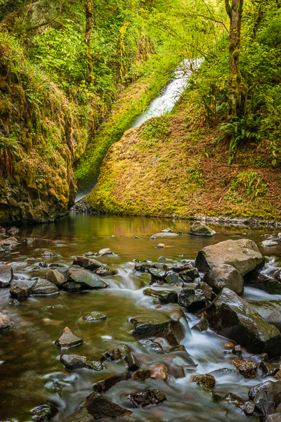 Botanical;Boulder;Boulders;Branches;Bridal Veil Creek;Brook;Brown;Calm;Cascade;Cascading;Chute;Creek;Falling;Falls;Ferns;Flow;Forest;Forested;Geological;Geology;Gold;Healing;Health care;Healthcare;Hill;Moss;Nature;Oregon;Pastoral;Pebbles;Pouring;River;Rock;Rock formations;Rocks;Rocky;Spilling;Stone;Stones;Stream;Stream Bank;Streaming;Sunlight;Sunshine;Tan;Timber;Timberland;Tree;United States;Water;Waterfalls;Waterscape;Wood;Woodland;Woods;Yellow;botanicals;fern;flowing;foliage;green;landscape;leaves;limbs;oneness;peaceful;plants;rapids;restful;river bank;serene;soothing;sunlit;tranquil;tree limbs;trees;waterfall;wet;zen