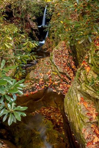 Blue Ridge Parkway;Botanical;Boulder;Boulders;Brook;Brown;Calm;Cascade;Cascading;Chute;Cool;Creek;Fallen;Fallen Leaves;Falling;Falls;Flow;Healing;Health care;Healthcare;Leaf;Nature;North Carolina;Pastoral;Pouring;Rock;Rock formations;Rocks;Rocky;Spilling;Stone;Stones;Stream;Streaming;Tan;Wabi Sabi;Water;Waterfalls;Waterscape;foliage;green;landscape;leaves;oneness;peaceful;restful;serene;soothing;tranquil;waterfall;wet;zen
