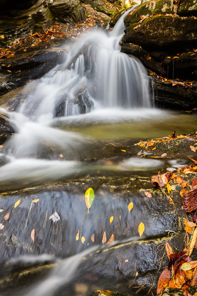 Blue Ridge Parkway;Botanical;Boulder;Boulders;Brook;Brown;Calm;Cascade;Cascading;Chute;Cool;Creek;Fallen;Fallen Leaves;Falling;Falls;Flow;Gold;Healing;Health care;Healthcare;Leaf;Nature;North Carolina;Pastoral;Pouring;Rock;Rock formations;Rocks;Rocky;Spilling;Stone;Stones;Stream;Streaming;Tan;Wabi Sabi;Warm Colors;Warm Palette;Warm Tones;Water;Waterfalls;Waterscape;Yellow;color;flowing;foliage;green;landscape;leaves;oneness;orange;peaceful;rapids;restful;serene;soothing;tranquil;waterfall;wet;zen