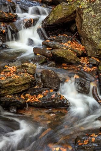 Abstract;Autumn;Blue Ridge Parkway;Boulder;Boulders;Brown;Calm;Cascade;Cascading;Chute;Cool;Fall;Fallen;Fallen Leaves;Falling;Falls;Flow;Gold;Healing;Health care;Healthcare;Leaf;Nature;North Carolina;Pouring;Ripple;Rock;Rock formations;Rocks;Rocky;Spilling;Stone;Stones;Stream;Streaming;Tan;Wabi Sabi;Warm Colors;Warm Palette;Warm Tones;Water;Waterfalls;Waterscape;Yellow;color;foliage;landscape;leaves;oneness;orange;peaceful;plant;rapids;restful;serene;soothing;tranquil;waterfall;wet;zen