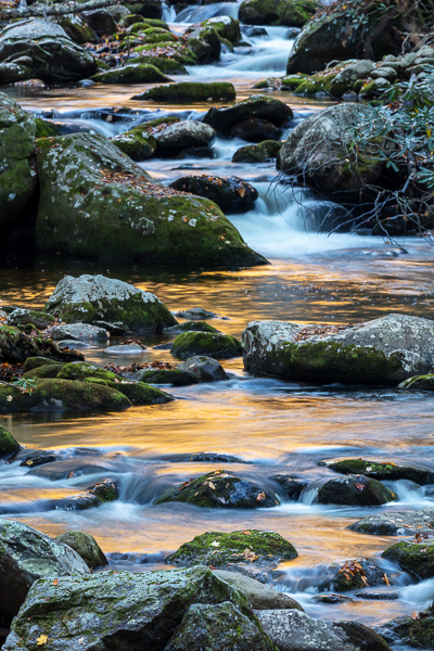 Autumn;Boulder;Boulders;Calm;Concepts;Cool Colors;Cool Palette;Cool Tones;Creek;Fall;Fallen;Fallen Leaves;Flow;Forest;Geology;Gold;Great Smoky Mountains National Park;Green;Greens;Habitat;Healing;Health care;Healthcare;Leaf;Leaves;Minimalism;Mirror;Nature;Oneness;Pastoral;Personal;Pool;Ripple;River;Rock;Rock formations;Rocks;Rocky;Stone;Stones;Stream;Stream Bank;Tennessee;United States;Water;Waterscape;Yellow;color;flowing;foliage;landscape;peaceful;plants;rapids;reflection;reflections;restful;river bank;serene;soothing;striation;tranquil;zen