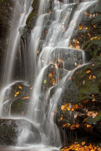 Autumn;Brown;Calm;Cascade;Cascading;Chute;Close-up;Cool;Fall;Fallen;Fallen Leaves;Falling;Falls;Flow;Gold;Great Smoky Mountains National Park;Healing;Health care;Healthcare;Leaf;Macro;Nature;Pouring;Rock;Rock formations;Rocks;Rocky;Spilling;Spruce Flat Falls;Stone;Stones;Stream;Tan;Tennessee;United States;Wabi Sabi;Warm Colors;Warm Palette;Warm Tones;Water;Waterfalls;Yellow;color;flowing;landscape;leaves;orange;peaceful;restful;serene;soothing;tranquil;waterfall;wet;yellow