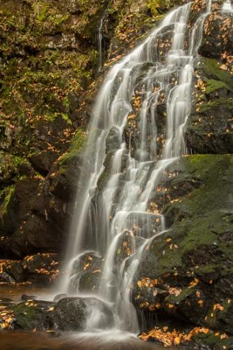 Autumn;Brown;Calm;Cascade;Cascading;Chute;Close-up;Cool;Fall;Fallen;Fallen Leaves;Falling;Falls;Flow;Gold;Great Smoky Mountains National Park;Healing;Health care;Healthcare;Leaf;Macro;Nature;Pouring;Rock;Rock formations;Rocks;Rocky;Spilling;Spruce Flat Falls;Stone;Stones;Stream;Tan;Tennessee;United States;Wabi Sabi;Warm Colors;Warm Palette;Warm Tones;Water;Waterfalls;Yellow;color;flowing;landscape;leaves;orange;peaceful;restful;serene;soothing;tranquil;waterfall;wet;yellow