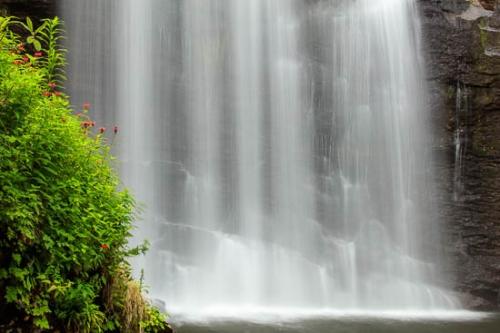 Bloom;Blossom;Blossoms;Boulder;Brown;Cascade;Cascading;Chute;Falls;Fern;Flow;Flower;Floweret;Flowering;Flowers;Geological;Green;Healing;Health care;Healthcare;Landscape;Leaves;Looking Glass Falls;Nature;North Carolina;Oneness;Orange;Peaceful;Pisgah National Forest;Plants;Pouring;Rapids;Red;River;Rock;Rock Formations;Rocks;Spilling;Stone;Stones;Streaming;Striation;Tan;Water;Waterfall;Waterfalls;bloom;calm;flora;floral;flowing;restful;serene;soothing;tranquil;zen