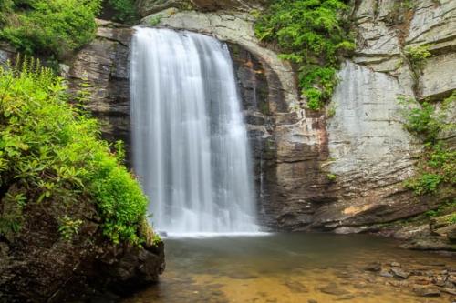 Bloom;Blossom;Blossoms;Boulder;Brown;Cascade;Cascading;Chute;Falls;Fern;Flow;Flower;Floweret;Flowering;Flowers;Geological;Green;Leaves;Looking Glass Falls;North Carolina;Oneness;Orange;Peaceful;Pisgah National Forest;Plants;Pouring;Rapids;River;Rock;Rock Formations;Rocks;Spilling;Stone;Stones;Streaming;Striation;Tan;Water;Waterfall;Waterfalls;bloom;flora;floral;flowing;refd;zen