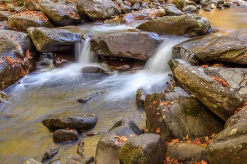 Boulder;Boulders;Brown;Cascade;Chute;Creek;Fallen;Fallen Leaves;Falls;Flow;Foliage;Gold;Great Smoky Mountains;Great Smoky Mountains National Park;Green;Healing;Health care;Healthcare;Landscape;Leaf;Leaves;Nature;Oneness;Orange;Peaceful;Pouring;Rapids;River;Rock;Rock Formations;Rocks;Rocky;Stone;Stones;Stream;Stream Bank;Streaming;Tan;Tennessee;United States;Wabi Sabi;Waterfall;Waterfalls;Waterscape;Yellow;calm;flowing;restful;river bank;serene;soothing;tranquil;zen