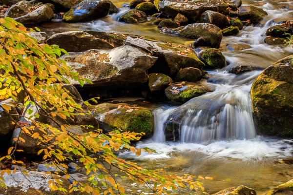 Botanical;Boulder;Boulders;Brook;Calm;Cascade;Cascading;Chute;Creek;Fallen;Fallen Leaves;Falling;Falls;Flow;Great Smoky Mountains;Great Smoky Mountains National Park;Healing;Health care;Healthcare;Leaf;Moss;Nature;Pastoral;Pouring;Ripple;River;Rock;Rock formations;Rocks;Rocky;Spilling;Stone;Stones;Stream;Streaming;Tennessee;United States;Wabi Sabi;Water;Waterfalls;Waterscape;flowing;foliage;landscape;leaves;oneness;peaceful;rapids;reflection;reflections;restful;river bank;serene;soothing;tranquil;waterfall;zen