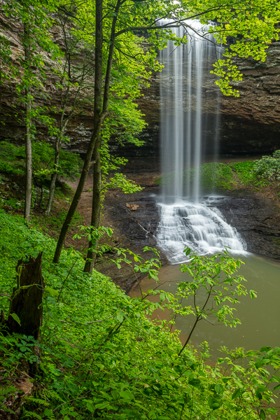 Branches;Brown;Calm;Cascade;Cascading;Chute;Falling;Falls;Flow;Forest;Forested;Healing;Health care;Healthcare;Nature;Pastoral;Piney Falls State Natural Area;Pouring;River;Spilling;Stream;Stream Bank;Streaming;Tennessee;Timber;Timberland;Tree;United States;Upper Piney Falls;Water;Waterfalls;Waterscape;Wood;Woodland;Woods;drop;flowing;green;leaves;limbs;oneness;peaceful;plants;rapids;restful;serene;soothing;tranquil;tree limbs;trees;trunk;waterfall;zen