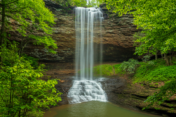 Branches;Brown;Calm;Cascade;Cascading;Chute;Falling;Falls;Flow;Forest;Forested;Healing;Health care;Healthcare;Nature;Pastoral;Piney Falls State Natural Area;Pouring;River;Spilling;Stream;Stream Bank;Streaming;Tennessee;Timber;Timberland;Tree;United States;Upper Piney Falls;Water;Waterfalls;Waterscape;Wood;Woodland;Woods;drop;flowing;green;leaves;limbs;oneness;peaceful;plants;rapids;restful;serene;soothing;tranquil;tree limbs;trees;trunk;waterfall;zen
