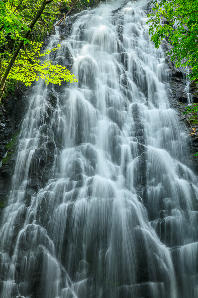 Blue Ridge Parkway;Botanical;Boulder;Boulders;Branches;Calm;Cascade;Cascading;Chute;Crabtree Falls;Falling;Falls;Flow;Forest;Forested;Healing;Health care;Healthcare;Nature;North Carolina;Pastoral;Plant;Pouring;Rock;Rock formations;Rocks;Rocky;Spilling;Stone;Stream;Streaming;Sunlight;Timber;Timberland;Tree;United States;Water;Waterfalls;Waterscape;Wood;Woodland;Woods;botanicals;landscape;leaves;limbs;oneness;peaceful;plants;rapids;restful;serene;soothing;sunlit;tranquil;tree limbs;trees;waterfall;zen