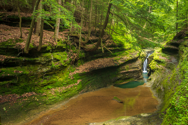 Aqua;Boulder;Branches;Brown;Calm;Cascade;Cascading;Chute;Fallen;Fallen Leaves;Falling;Falls;Flow;Forest;Forested;Geological;Gold;Healing;Health care;Healthcare;Leaf;Minimalism;Mirror;Moss;Nature;Ohio;POhio;Pastoral;Pouring;Ripple;River;Robinson Falls;Rock;Rock formations;Rocks;Spilling;Stone;Stream;Streaming;Striated;Striations;Sunlight;Tan;Timber;Tree;United States;Wabi Sabi;Water;Waterfalls;Waterscape;crevasse;foliage;green;landscape;leaves;limbs;oneness;peaceful;plants;pool;reflection;reflections;restful;serene;soothing;sunlit;tranquil;tree limbs;trees;trunk;waterfall;wet;zen